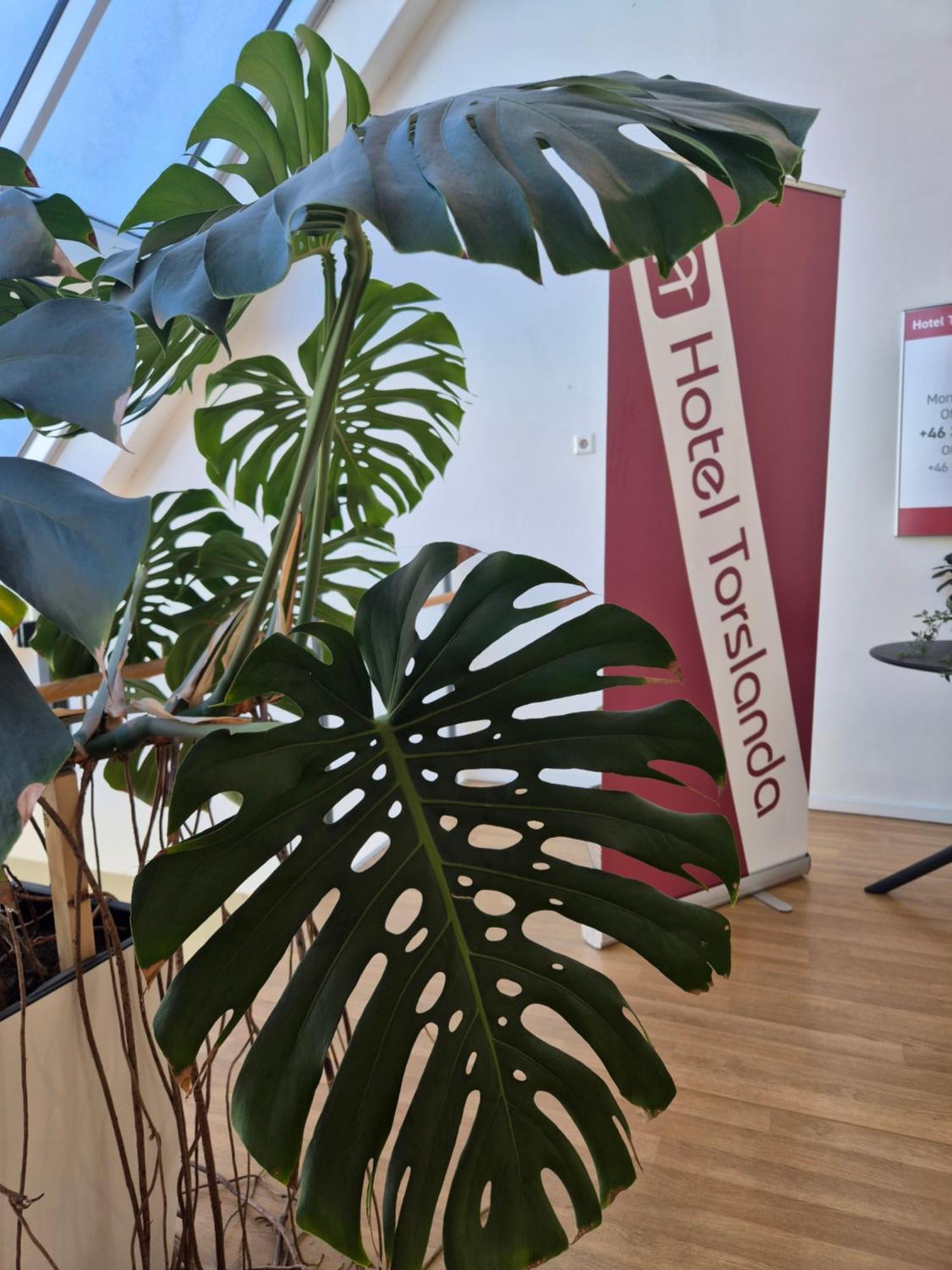 Hotel Torslanda Gothenburg Luaran gambar